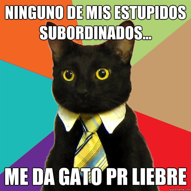 ninguno de mis estupidos subordinados... me da gato pr liebre  Business Cat