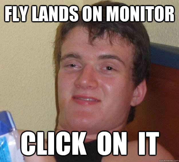 fly lands on monitor click  on  it  10 Guy