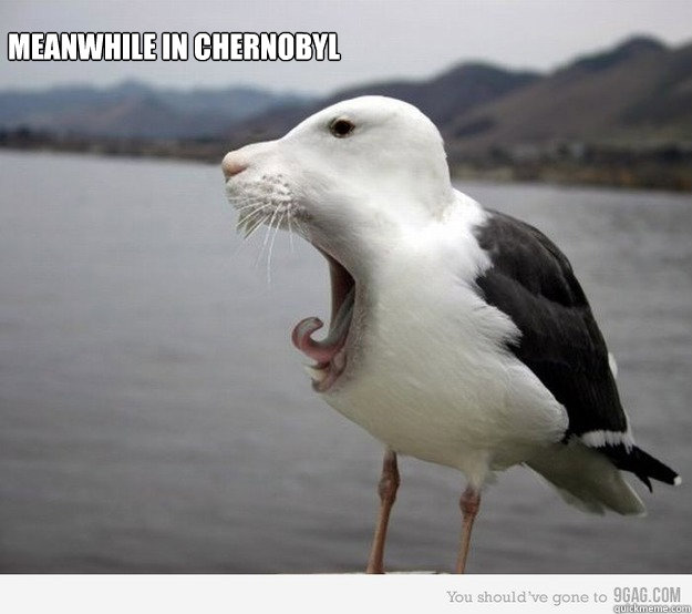 Meanwhile in chernobyl - Meanwhile in chernobyl  lolol