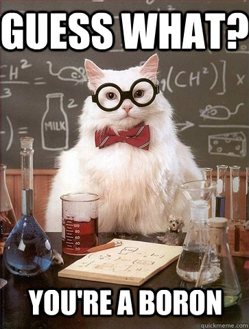 Guess What? You're a boron - Guess What? You're a boron  Chemistry Cat