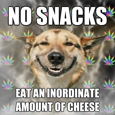 no snacks eat an inordinate amount of cheese  Stoner Dog