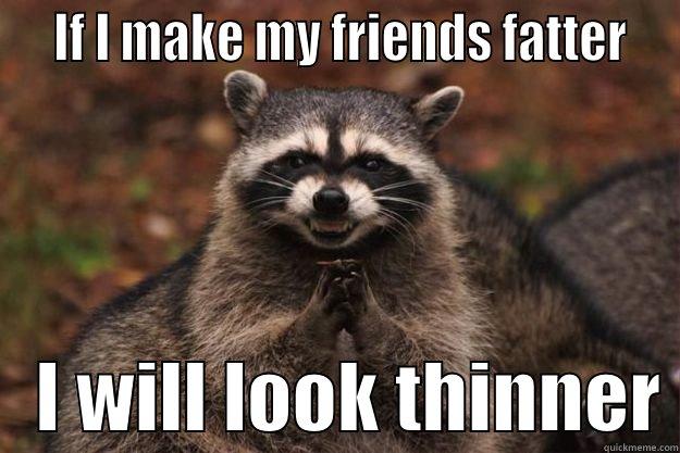   IF I MAKE MY FRIENDS FATTER     I WILL LOOK THINNER Evil Plotting Raccoon