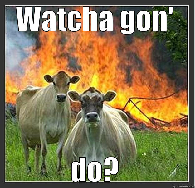 WATCHA GON' DO? Evil cows