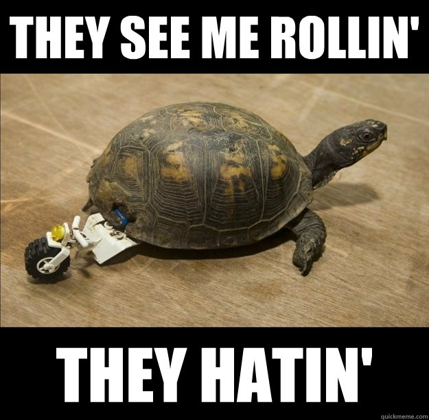 THEY SEE ME ROLLIN' THEY HATIN' - THEY SEE ME ROLLIN' THEY HATIN'  Turtle Lego Roll