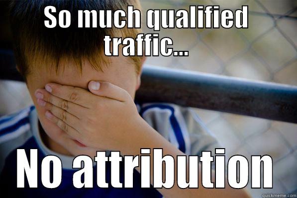 SO MUCH QUALIFIED TRAFFIC... NO ATTRIBUTION Confession kid