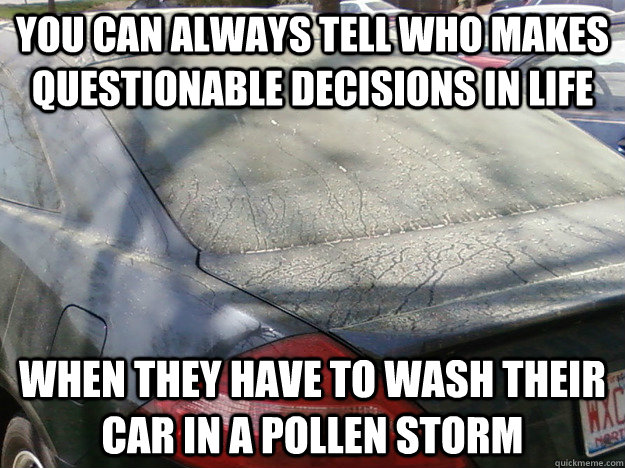you can always tell who makes questionable decisions in life when they have to wash their car in a pollen storm - you can always tell who makes questionable decisions in life when they have to wash their car in a pollen storm  Misc