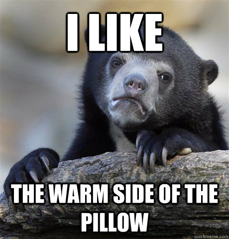 i like the warm side of the pillow  Confession Bear