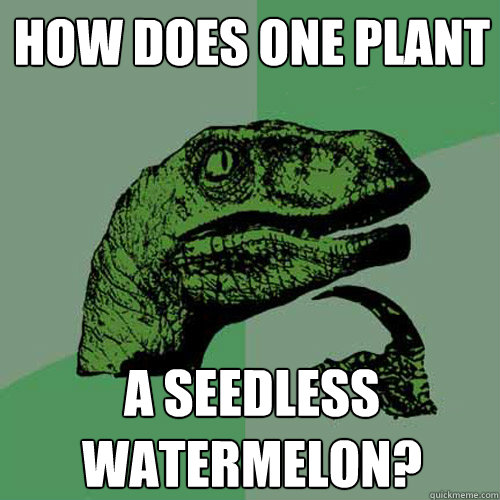 How does one plant a seedless watermelon?  Philosoraptor