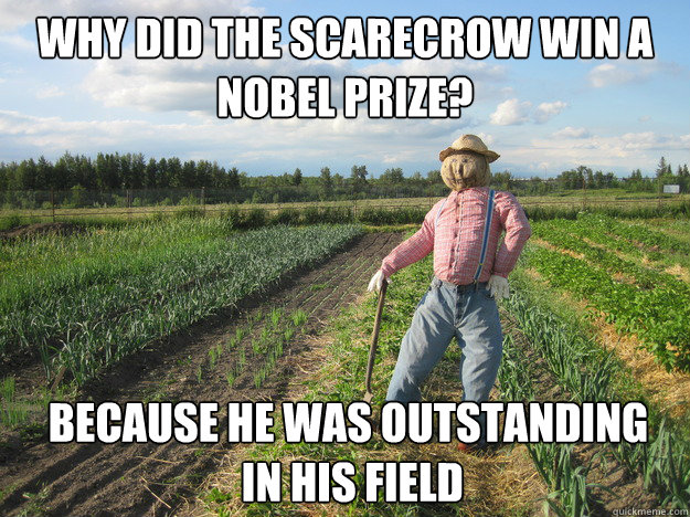 Why did the scarecrow win a Nobel prize? Because he was outstanding
 in his field  Scarecrow