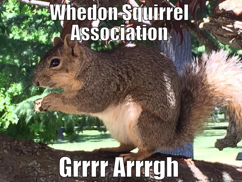 WHEDON SQUIRREL ASSOCIATION GRRRR ARRRGH Misc
