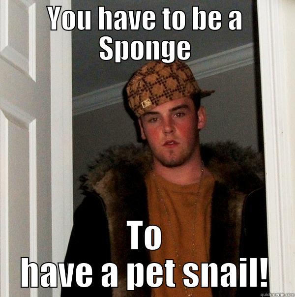 YOU HAVE TO BE A SPONGE TO HAVE A PET SNAIL! Scumbag Steve