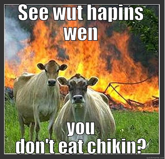 Cows strike again - SEE WUT HAPINS WEN YOU DON'T EAT CHIKIN? Evil cows