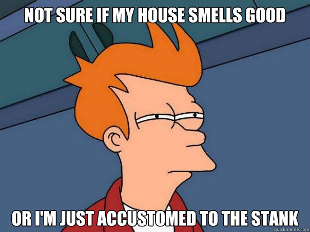 Not sure if my house smells good Or I'm just accustomed to the stank  Futurama Fry