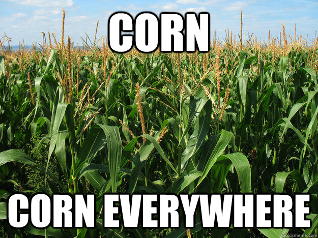 corn corn everywhere - corn corn everywhere  What a New Yorker Thinks of Iowa