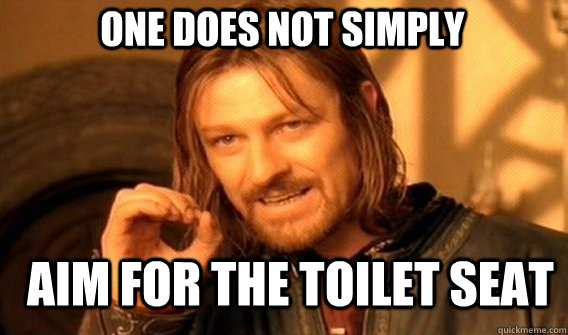 One does not simply aim for the toilet seat   Boromir