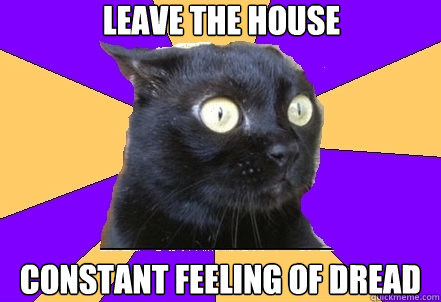 leave the house constant feeling of dread - leave the house constant feeling of dread  Anxiety Cat