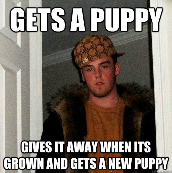 gets a puppy gives it away when its grown and gets a new puppy  Scumbag Steve