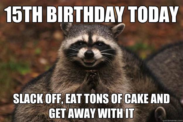 15th birthday today slack off, eat tons of cake and get away with it  Evil Plotting Raccoon