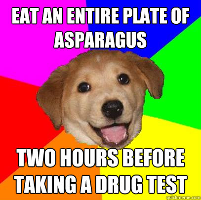 eat an entire plate of asparagus two hours before taking a drug test  Advice Dog