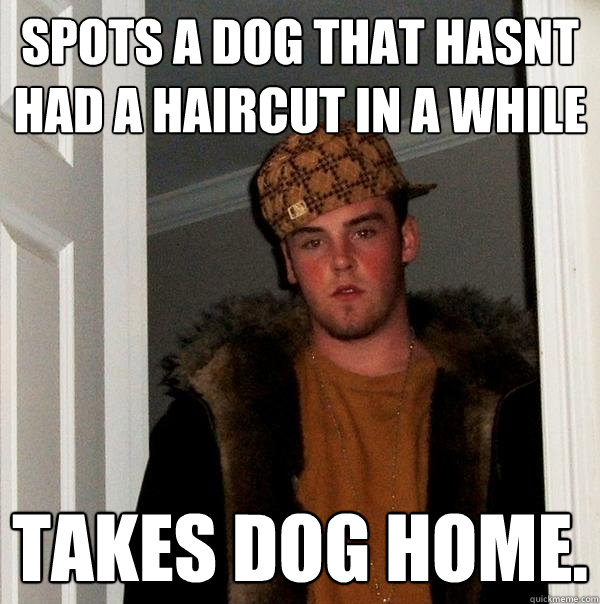 spots a dog that hasnt had a haircut in a while takes dog home.  Scumbag Steve