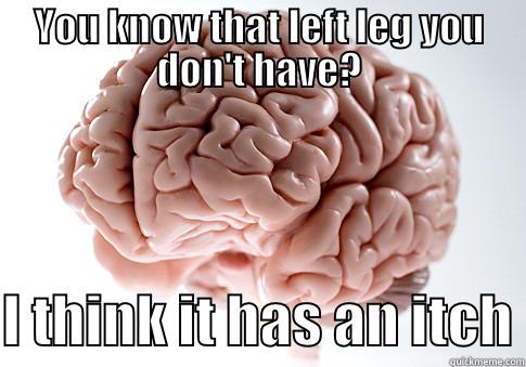 YOU KNOW THAT LEFT LEG YOU DON'T HAVE?  I THINK IT HAS AN ITCH Scumbag Brain