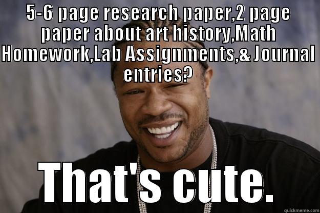 5-6 PAGE RESEARCH PAPER,2 PAGE PAPER ABOUT ART HISTORY,MATH HOMEWORK,LAB ASSIGNMENTS,& JOURNAL ENTRIES? THAT'S CUTE. Xzibit meme