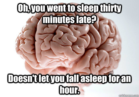 Oh, you went to sleep thirty minutes late? Doesn't let you fall asleep for an hour.   Scumbag Brain