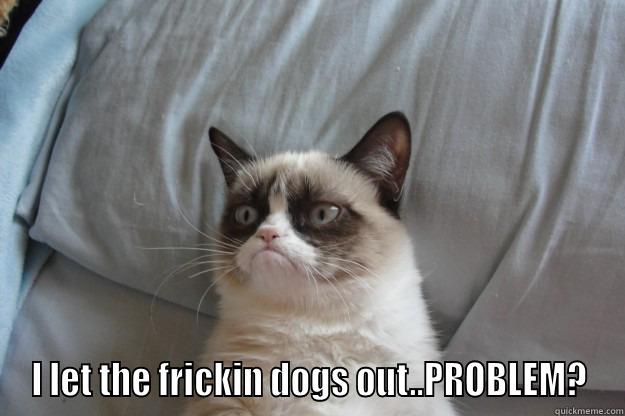  I LET THE FRICKIN DOGS OUT..PROBLEM? Grumpy Cat