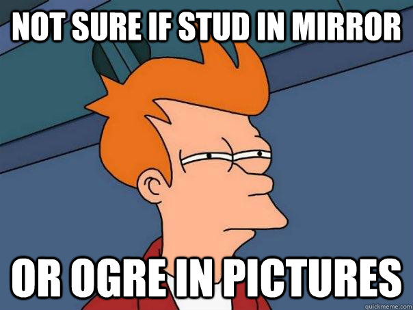 Not sure if stud in mirror Or ogre in pictures  Futurama Fry