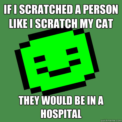 if I scratched a person like I scratch my cat they would be in a hospital  