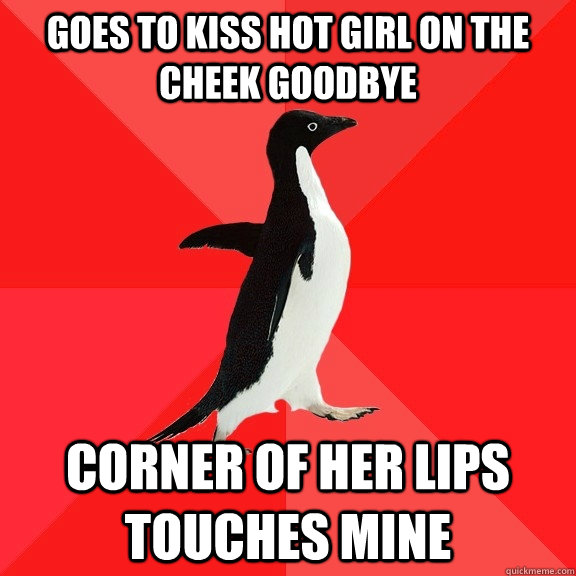 Goes to kiss hot girl on the cheek goodbye corner of her lips touches mine  Socially Awesome Penguin