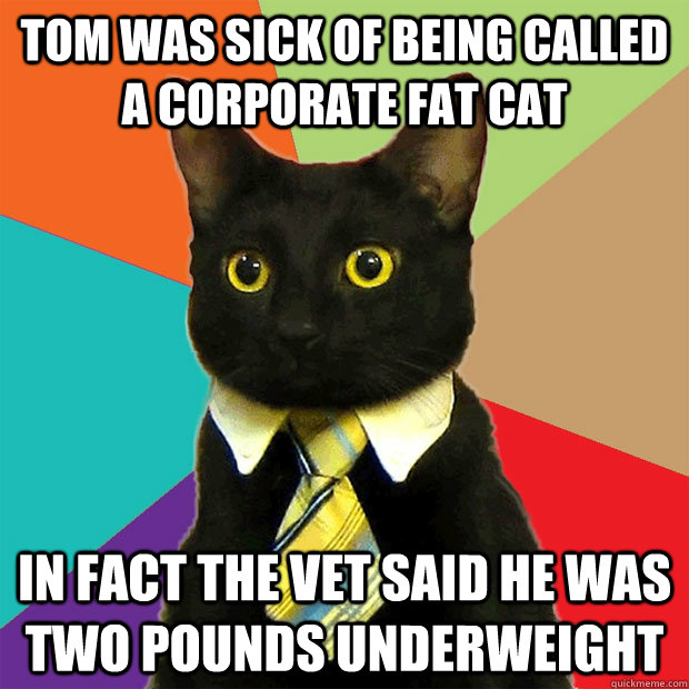 tom was sick of being called a corporate fat cat in fact the vet said he was two pounds underweight  Business Cat