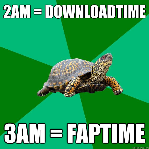 2am = downloadtime 3am = faptime - 2am = downloadtime 3am = faptime  Torrenting Turtle