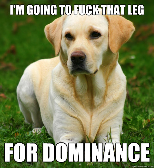 I'm going to fuck that leg for dominance  Dog Logic