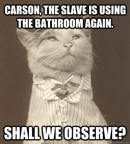 Carson, the slave is using the bathroom again. Shall we observe?  Aristocat