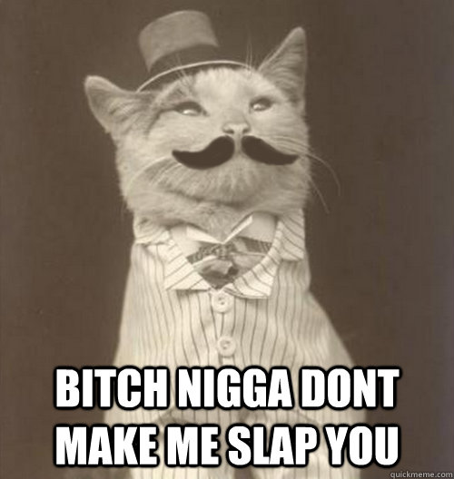  Bitch nigga dont make me slap you -  Bitch nigga dont make me slap you  Original Business Cat