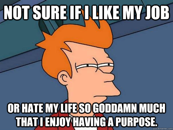 not sure if I like my job or hate my life so goddamn much that I enjoy having a purpose.  Futurama Fry