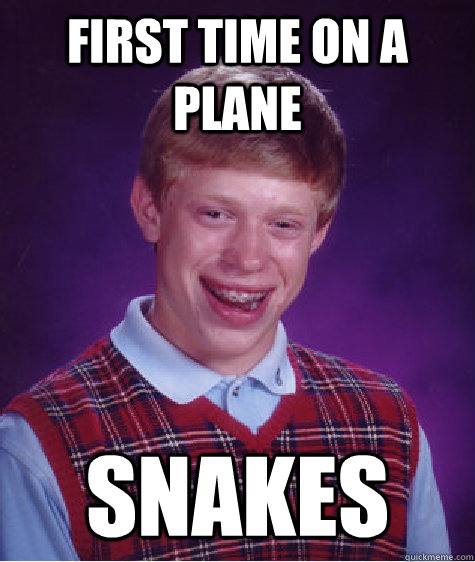 First time on a plane snakes  Bad Luck Brian