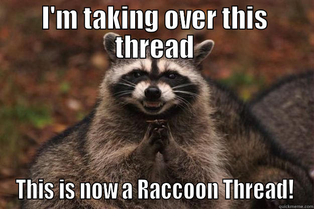 I'M TAKING OVER THIS THREAD THIS IS NOW A RACCOON THREAD! Evil Plotting Raccoon