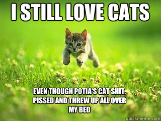 I still love cats Even though Potia's cat shit, pissed and threw up all over my bed  Excited Kitten