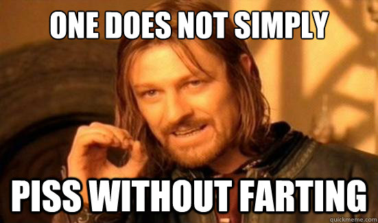 One does not simply Piss without farting  Boromir