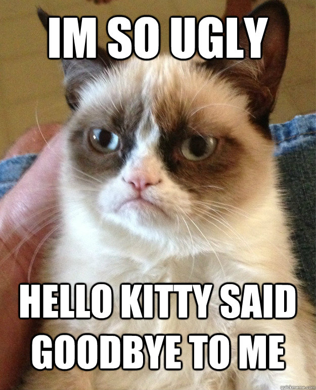 im so ugly hello kitty said goodbye to me  Grumpy Cat