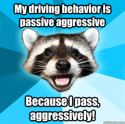 My driving behavior is passive aggressive Because I pass, aggressively!  Lame Pun Coon