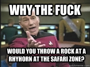 Why the fuck Would you throw a rock at a Rhyhorn at the safari zone? - Why the fuck Would you throw a rock at a Rhyhorn at the safari zone?  Annoyed Picard