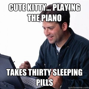 cute kitty... playing the piano takes thirty sleeping pills  Lonely Computer Guy