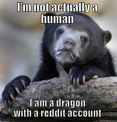 Actually a dragon - I'M NOT ACTUALLY A HUMAN I AM A DRAGON WITH A REDDIT ACCOUNT Confession Bear