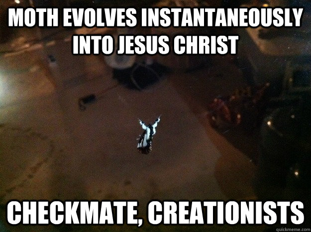 MOTH EVOLVES INSTANTANEOUSLY INTO JESUS CHRIST CHECKMATE, CREATIONISTS  Jesus Moth