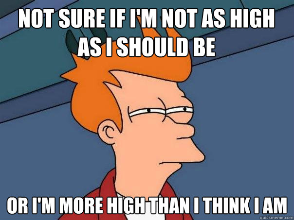 Not sure if I'm not as high as I should be  Or I'm more high than I think I am  Futurama Fry