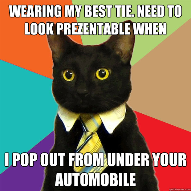 Wearing my best tie. Need to look prezentable when I pop out from under your automobile  Business Cat