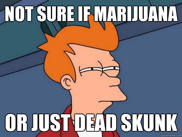 Not sure if marijuana or just dead skunk  Futurama Fry